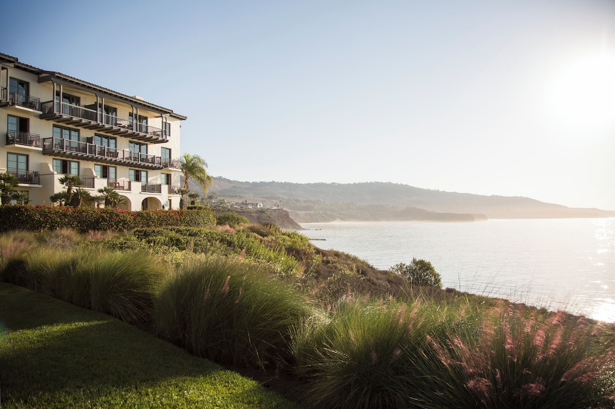 Ocean View King Terranea Resort image 3