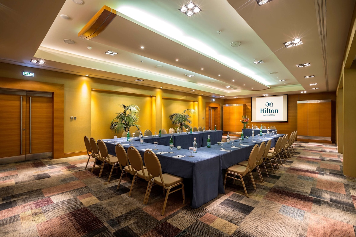 Hilton Nicosia (King Guest Room) image 5