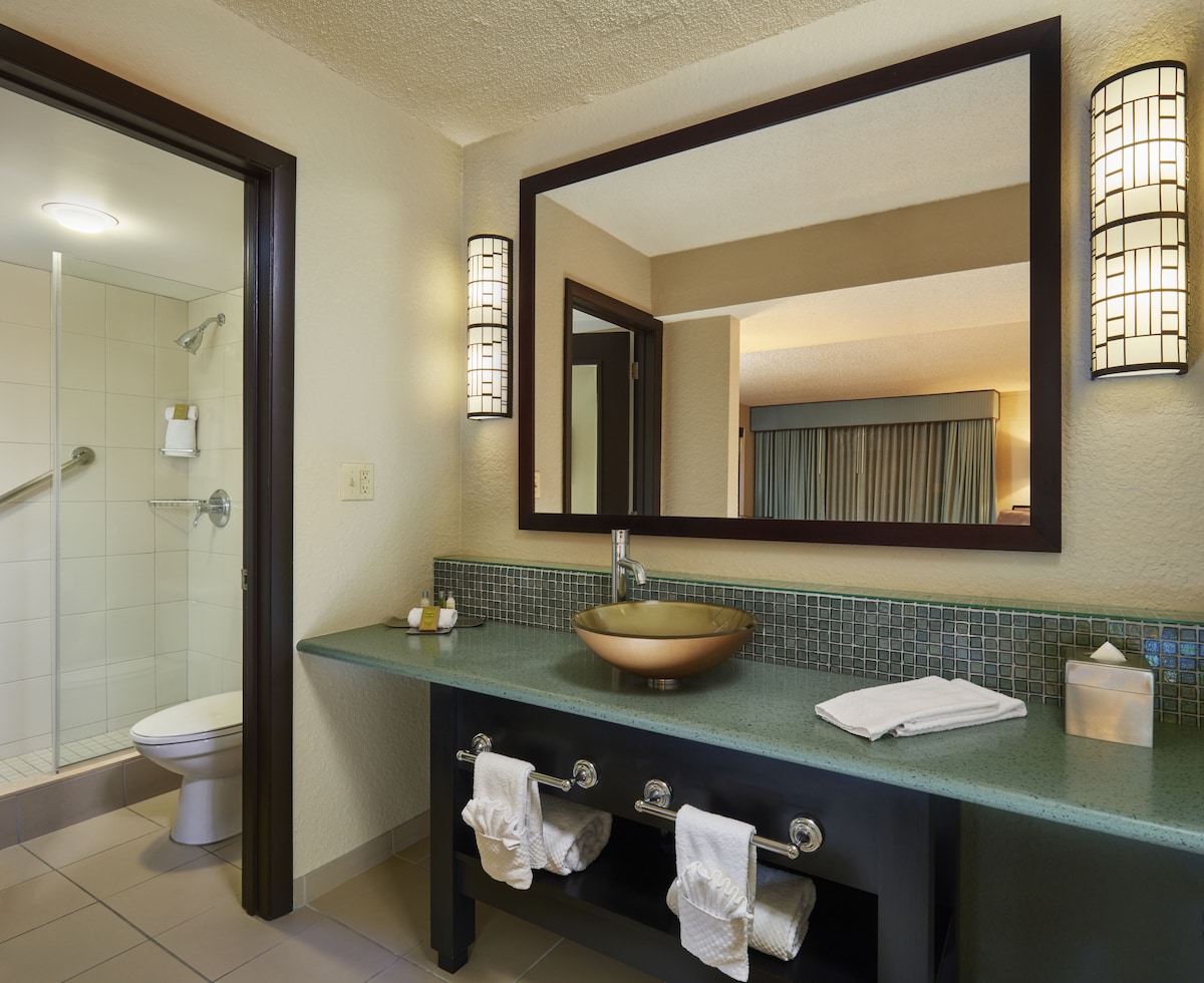 King Room DoubleTree by Hilton Orlando Theme Park  image 5